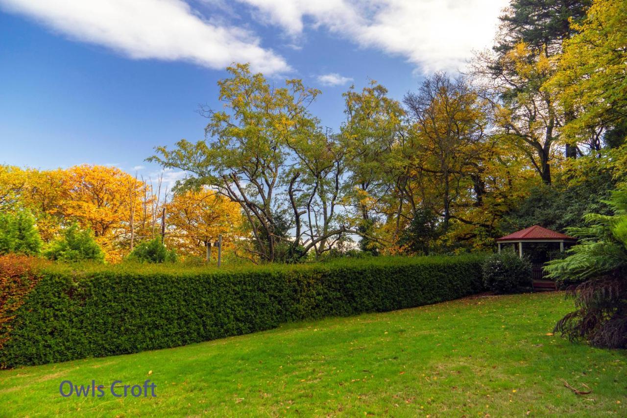 Observatory Cottages Mount Dandenong Exterior foto