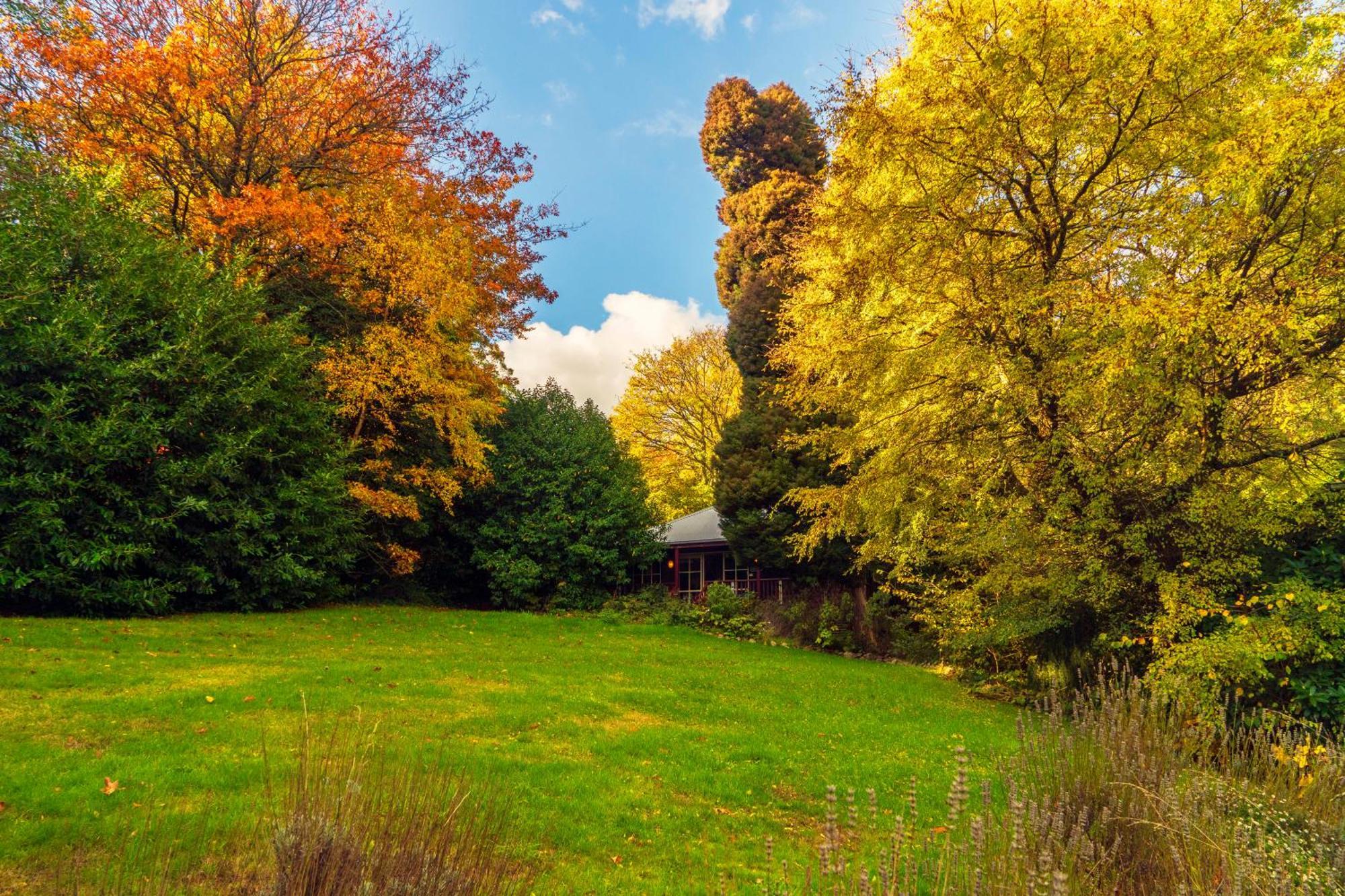 Observatory Cottages Mount Dandenong Quarto foto